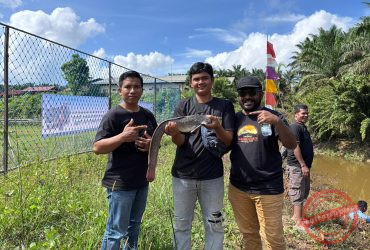headline-foto