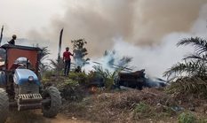 Karhutla di Empat Desa Rantau Pulung Hanguskan 8 Hektare Lahan, Tim Gabungan Bergerak Cepat