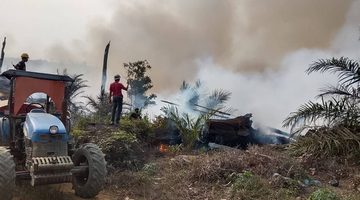 Karhutla di Empat Desa Rantau Pulung Hanguskan 8 Hektare Lahan, Tim Gabungan Bergerak Cepat